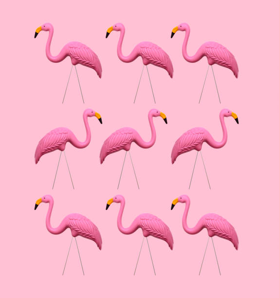 istock Pink Flamingos On A Pink Background 1158667220