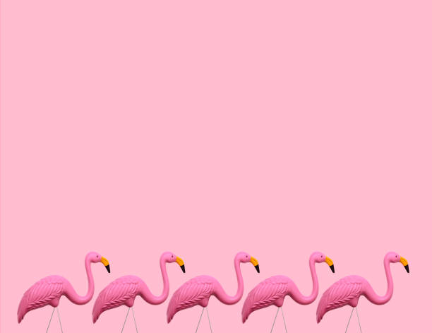 istock Pink Flamingos On A Pink Background 1158667224