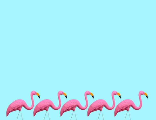 istock Pink Flamingos On A Blue Background 1158667225