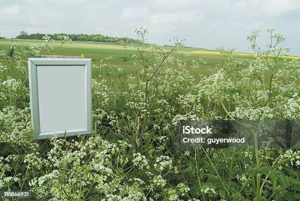 Moldura Em Branco No Meio Rural - Fotografias de stock e mais imagens de Ao Ar Livre - Ao Ar Livre, Branco, Campo agrícola