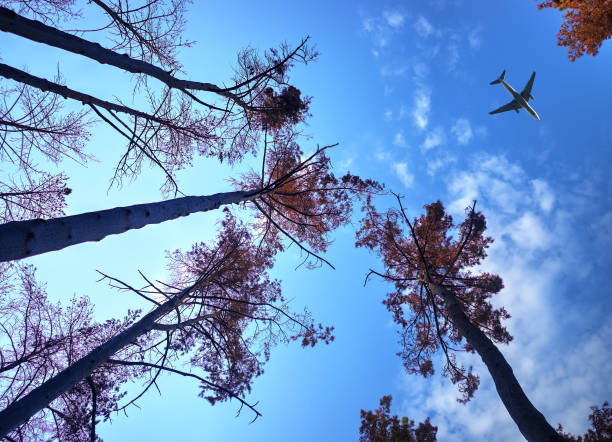 istock View from burned forest on jet airplane in the sky background hd 1158671296