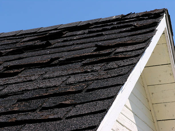 Need a new roof? Roof in need of repair. The asphalt shingles are badly worn and should be replaced. wood shingle photos stock pictures, royalty-free photos & images