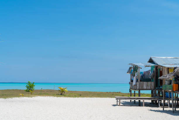 istock basic living, home of nomadic people on small tropical island 1158671903