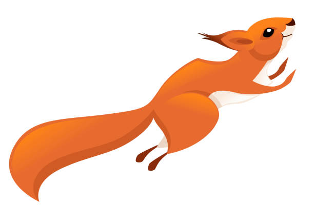 Cute Little Squirrel Jumping Up Side View Cartoon Animal Character Design Flat Vector Illustration Isolated On White Background Stock Illustration - Download Image Now - iStock Cute Little Squirrel Jumping Up Side View Cartoon Animal Character Design Flat Vector Illustration Isolated On White Background Stock Illustration - Download Image Now - iStock