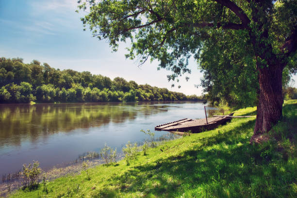 istock By the riverside, summertime landscape, outdoor theme 1158676292