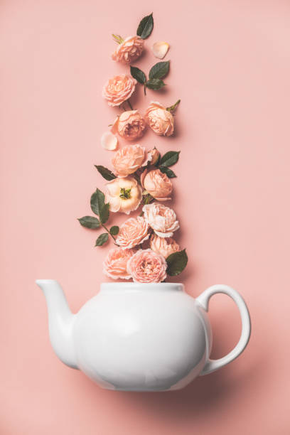 Creative layout made of whte tea pot with orange roses on pink background Creative layout made of whte tea pot with orange roses on pink background, flat lay levitation stock pictures, royalty-free photos & images