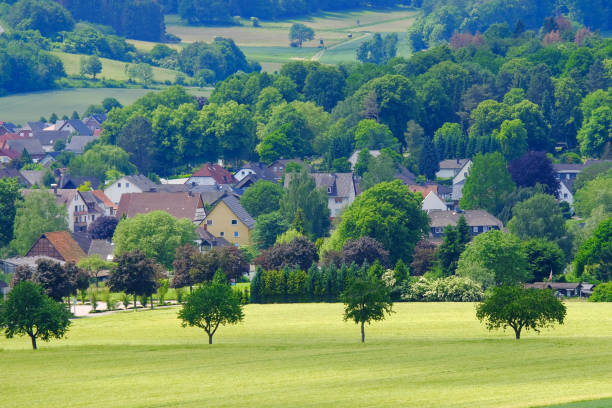 View on the agricultural fields with grain in Germany.