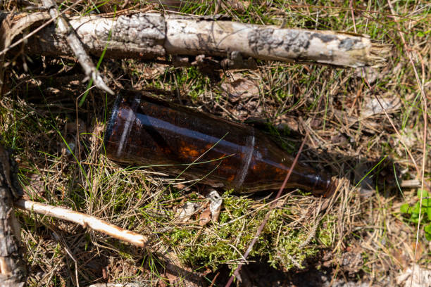 istock Glass bottle lying on the forest litter as a fire hazard. Garbage left by a man in the forest. Season of the summer. 1158684752