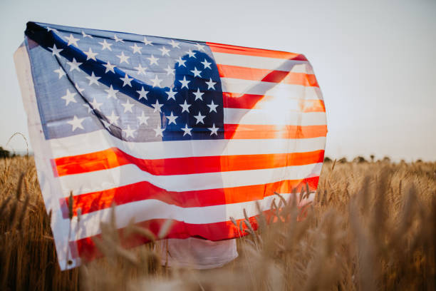 istock Young pretty woman walks in the cornfield while enjoying sunset 1158686152