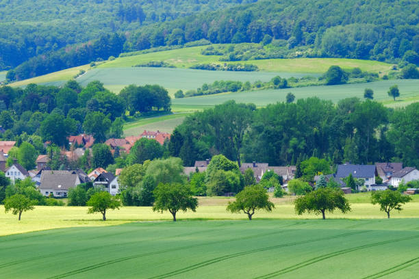 istock View on the agricultural fields with grain in Germany. 1158686498