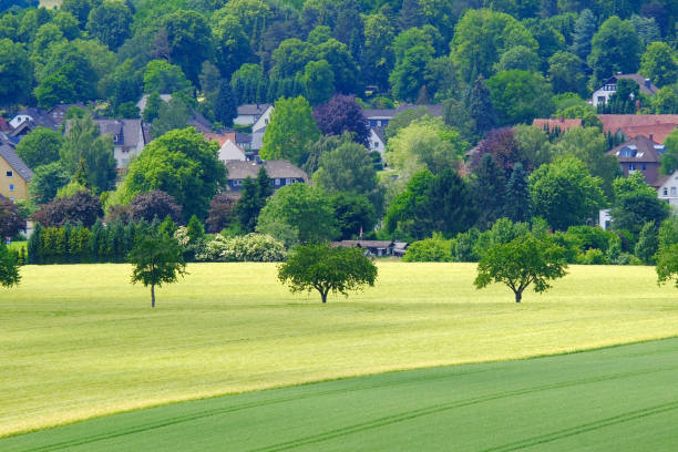 istock View on the agricultural fields with grain in Germany. 1158686908