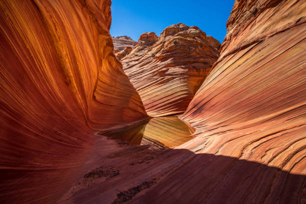istock The Wave North Coyote Buttes in Vermillion Cliffs 1158687771