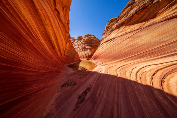 istock The Wave North Coyote Buttes in Vermillion Cliffs 1158687777