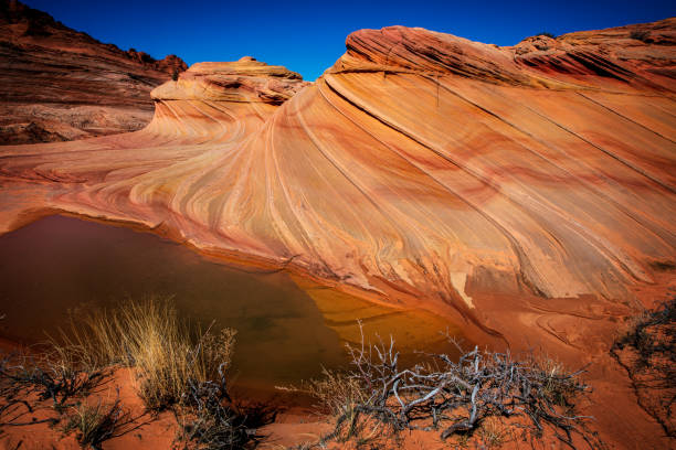 istock The Wave North Coyote Buttes in Vermillion Cliffs 1158687826