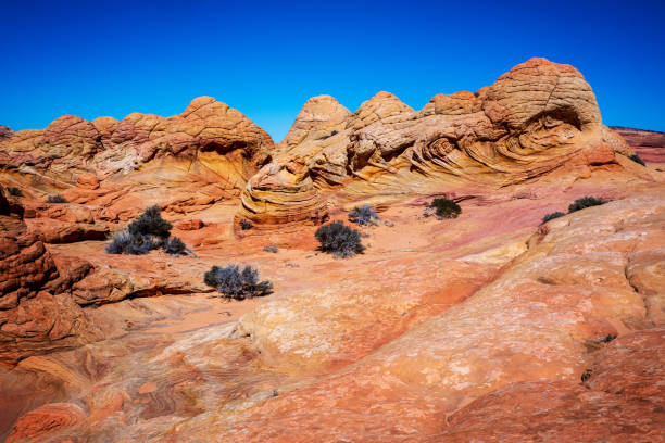 istock The Wave North Coyote Buttes in Vermillion Cliffs 1158687878