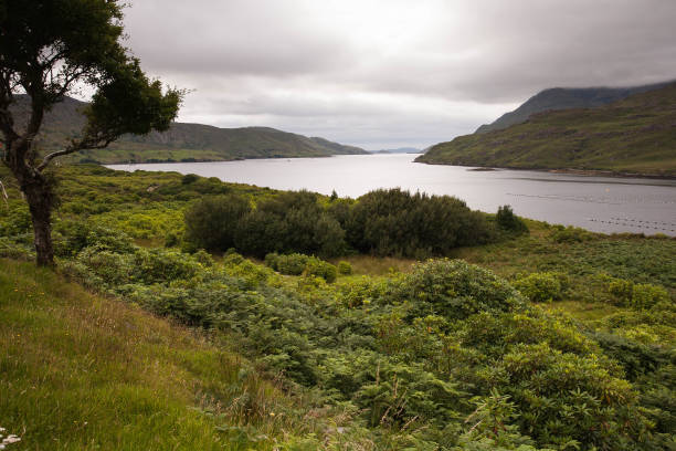 Leenane, Connemara loop, County Galway, Ireland stock photo