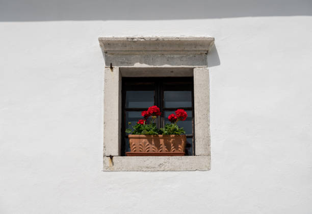 istock Plain and simple flower arrangement in window in stone wall 1158690346