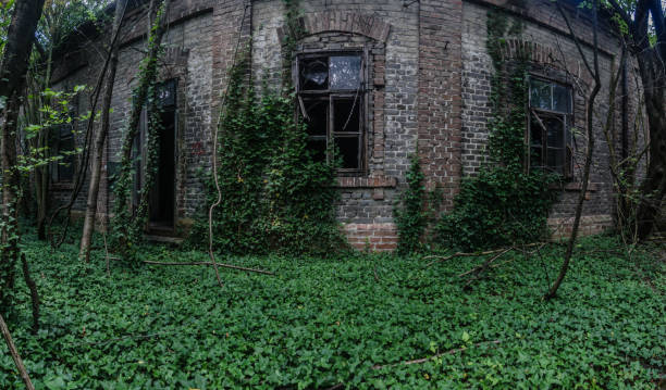 istock abandoned factory with brick panorama 1158690584