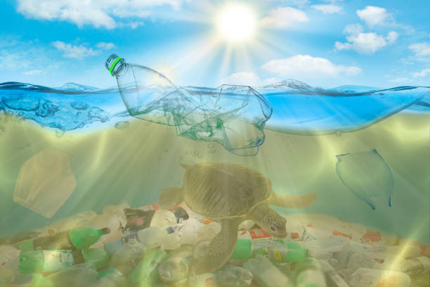 istock Plastic pollution in ocean environmental problem. Turtles can eat plastic bags mistaking them for jellyfish. dirty water concept 1158691581