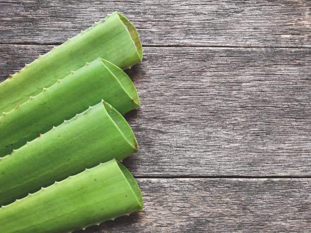 istock Aloe vera slices on  wooden rustic table 1158692563