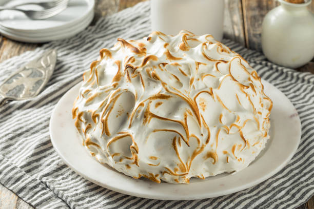 Homemade Toasted Baked Alaska Homemade Toasted Baked Alaska with Chocolate Berry Vanilla Ice Cream torte photos stock pictures, royalty-free photos & images