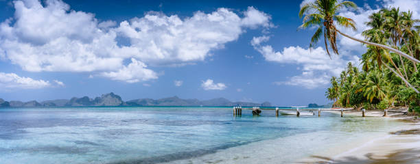 istock Beautiful tropical beach. Crystal clear lagoon with palms around and impressive white clouds. Holiday and paradise island vacation concept 1158694078