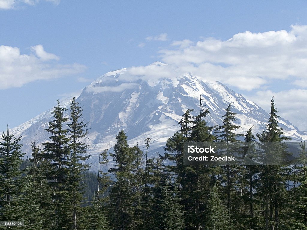 Mt. Rainier Picture of Mt. Rainier in Washington state at about 6,000 feet above sea level looking at the Carbon River Glacier (lower left) Animals In The Wild Stock Photo