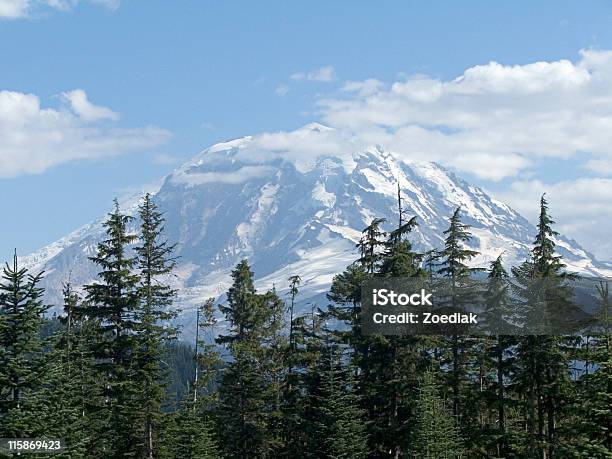 Mt Rainier Stock Photo - Download Image Now - Animals In The Wild, Blue, Cascade Range