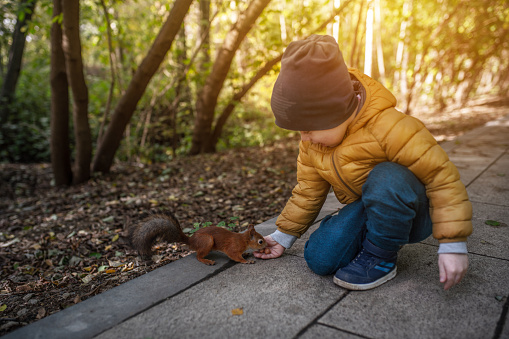 Little boy feeds a squirrel in the park