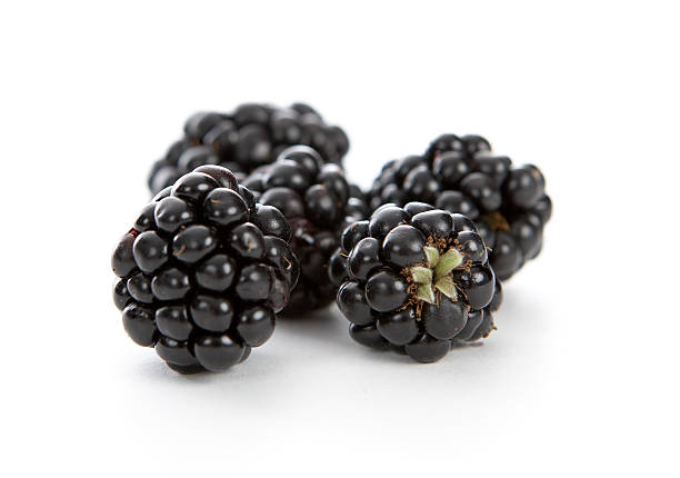 jeżyny - blackberry fruit mulberry isolated zdjęcia i obrazy z banku zdjęć