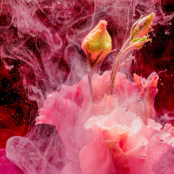 istock Flower in colourful water 1158702573