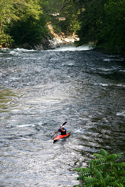 Kayaking Up the River stock photo