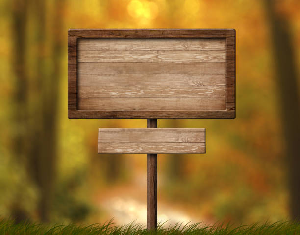 istock Wooden double signpost with single pole and autumn forest background 1158704817