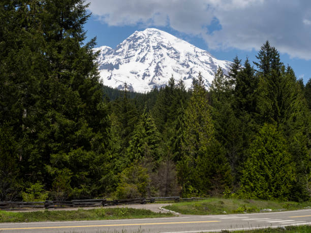 istock Mount Rainier from Longmire Meadow with Road and Trail 1158710958