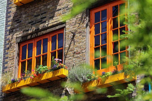 A view into a rustic window and shutters affixed to a stucco home. Bright orange in color with a grey strip at the bottom. A small plant grows. Looking through the window to a house plant and light fixture. Located in Breisach, Germany.