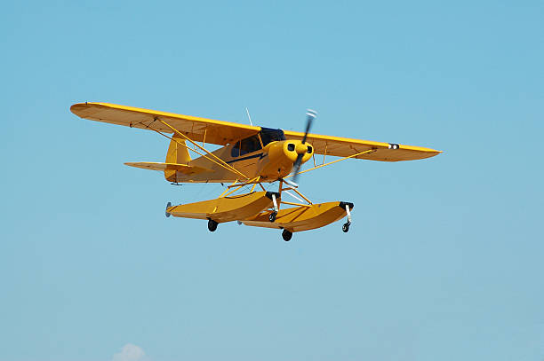 Mały żółty Wodnosamolot Piper Cub lecące w jasne, błękitne niebo – zdjęcie