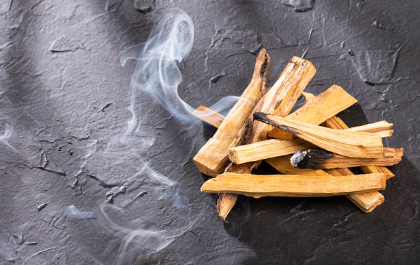 istock Palo santo - Bursera graveolens. Text space 1158713090