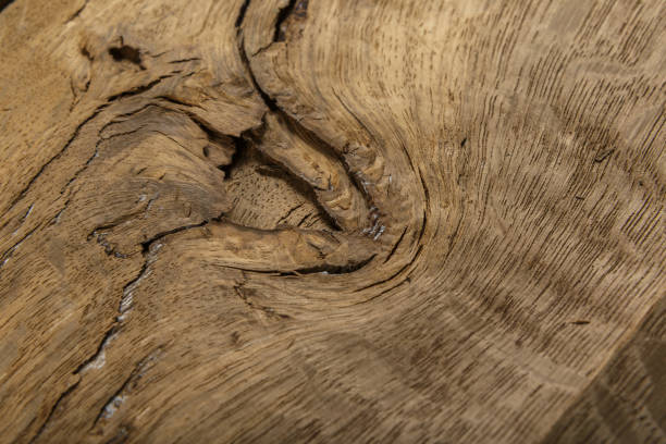 istock Veneer made from old oak, texture of wood 1158713264