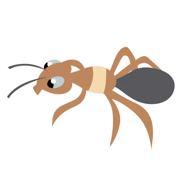 Vector illustration of cute ant. isolated stock vector illustration