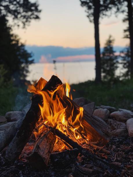 Campfire Processed with VSCO with av4 preset firewood photos stock pictures, royalty-free photos & images