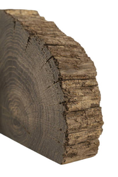 istock A handmade oak souvenir, an oak texture with cracks 1158718139