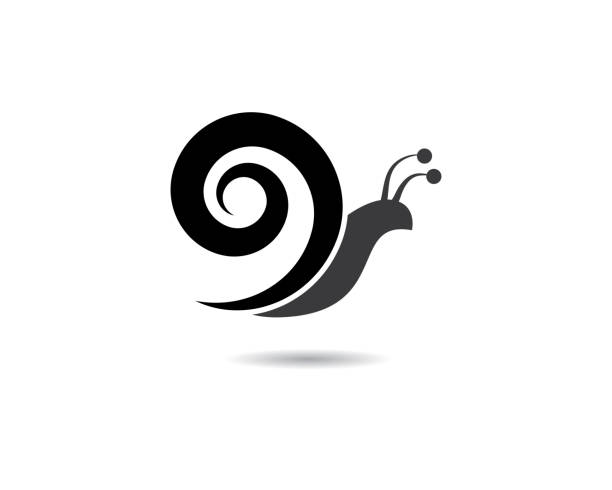 schneckenvektor-symbol - snail white background mollusk mucus stock-grafiken, -clipart, -cartoons und -symbole
