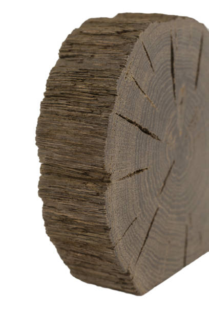 istock A handmade oak souvenir, an oak texture with cracks 1158719164