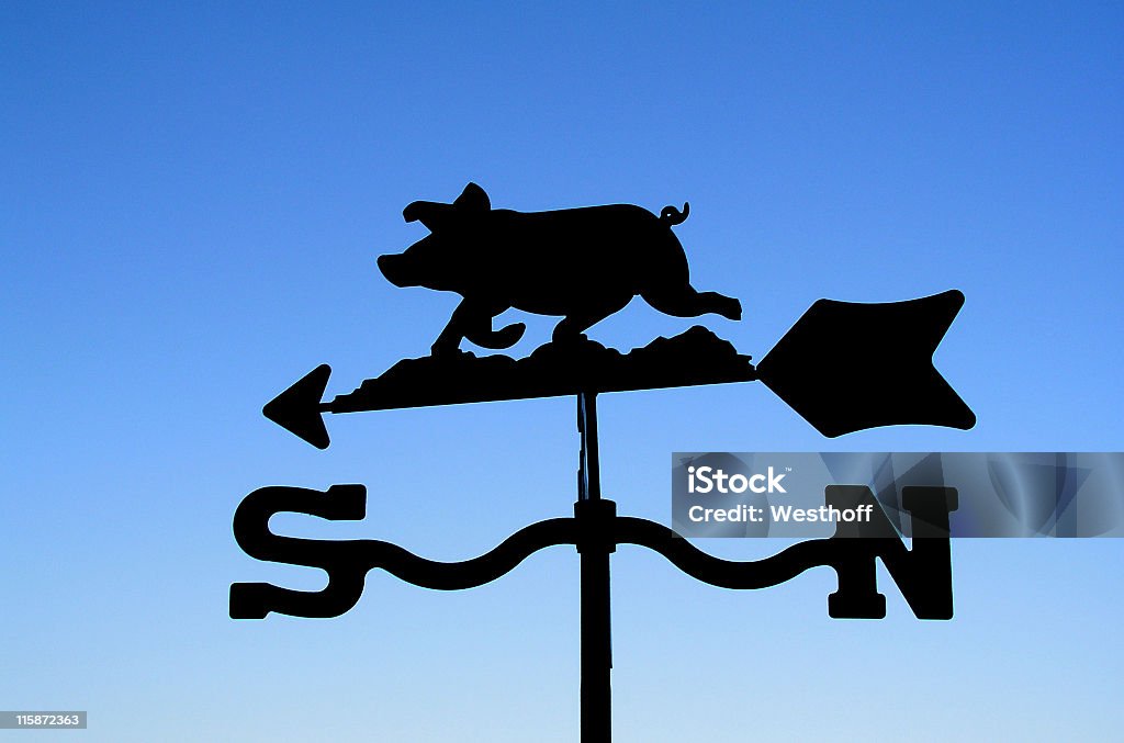 Weathervane de cochon - Photo de Baguette pour pointer libre de droits