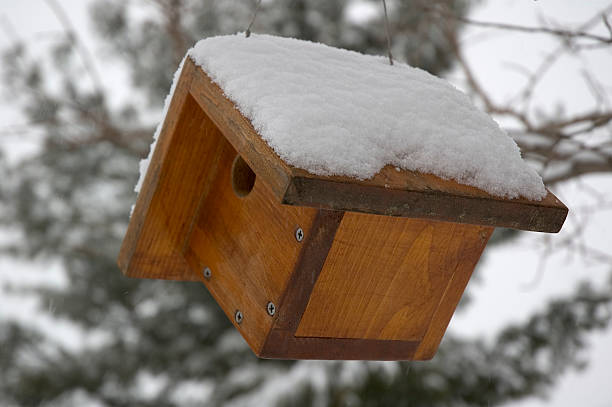 istock Housewren House with Snow 115872371