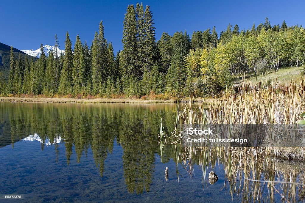 Riflesso nel Lago Vermillion - Foto stock royalty-free di Acqua