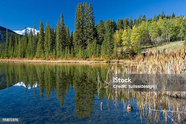 Riflesso Nel Lago Vermillion - Fotografie stock e altre immagini di Acqua - Acqua, Albero, Alberta