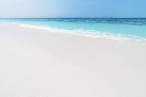 istock Tropical beach and sea wave copy space scene 1158725357