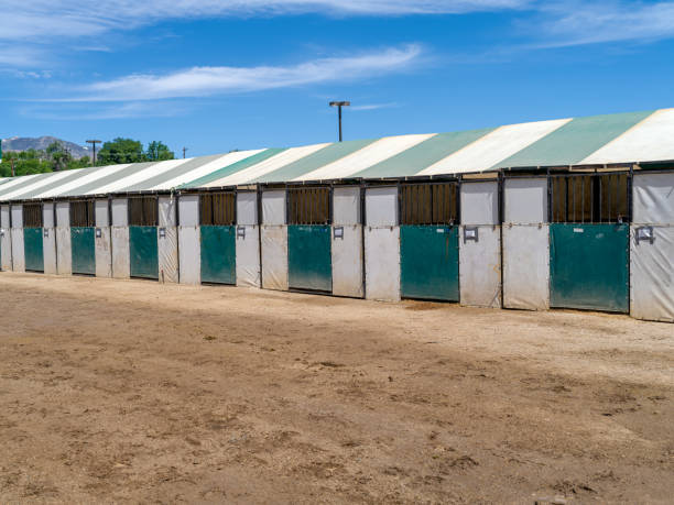 fila temporal de puestos de caballos - horse stall stable horse barn fotografías e imágenes de stock