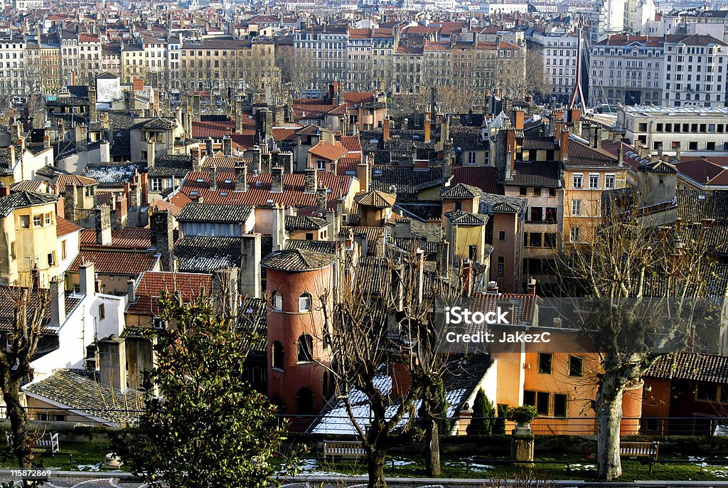 Old Lyon y rosa Tower - Foto de stock de Lyon libre de derechos